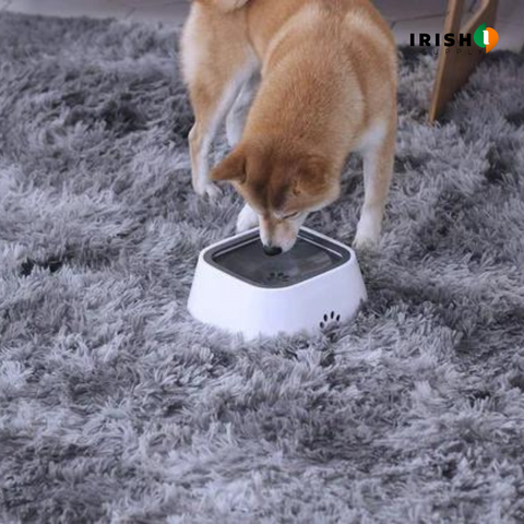 NOMESS Dog Anti Spill Bowl