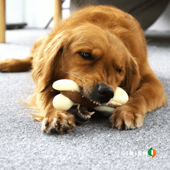 SLANA Chewing Toys